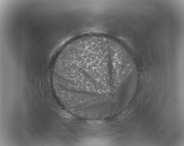 X0000065981159200603241932