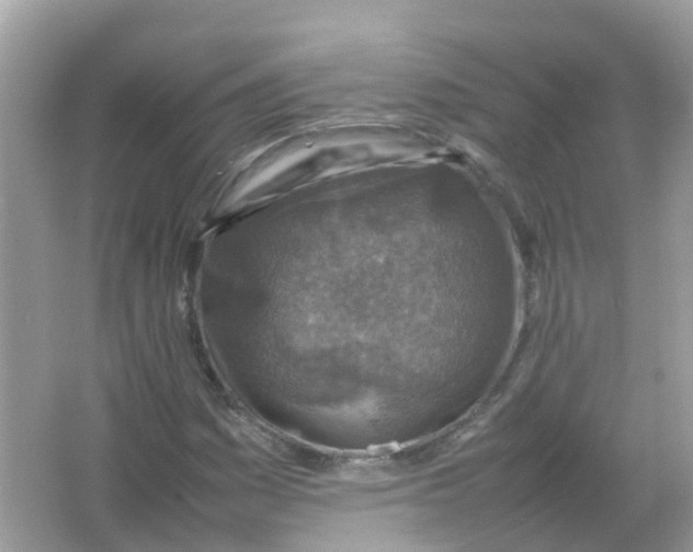 X0000065981161200603241932