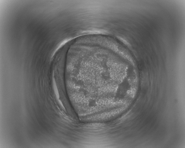 X0000065981163200603241932