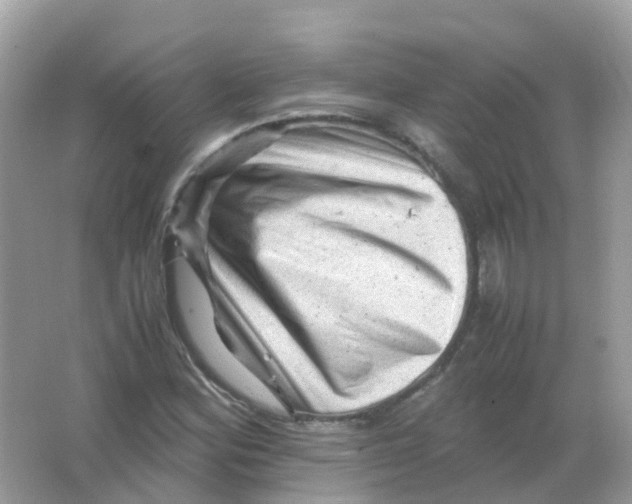 X0000065981164200603241932