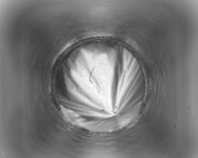 X0000065981165200603241932