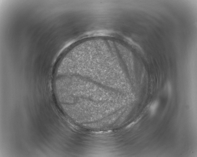 X0000065981166200603241932