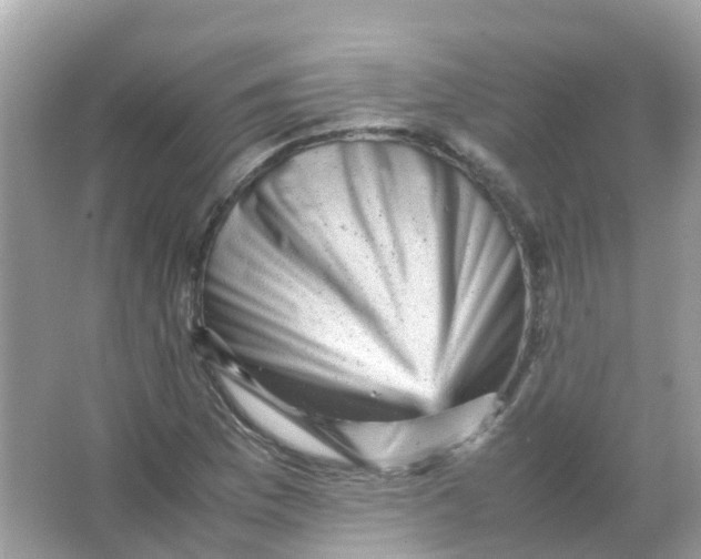 X0000065981169200603241932