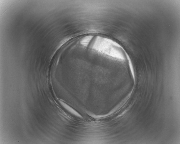 X0000065981170200603241932