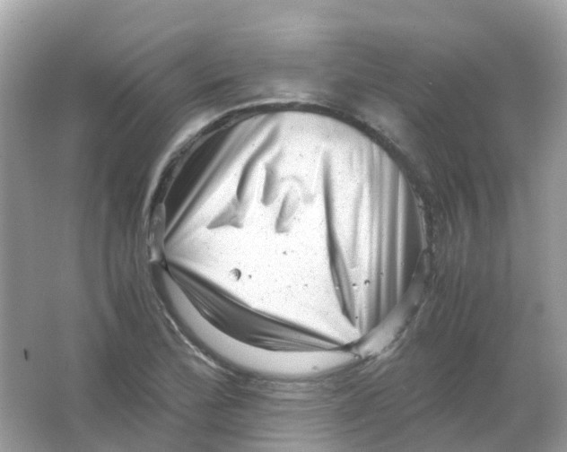 X0000065981172200603241932