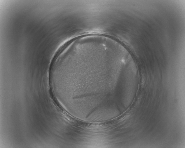 X0000065981174200603241932