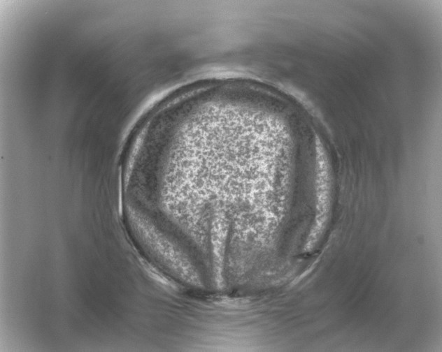 X0000065981175200603241932