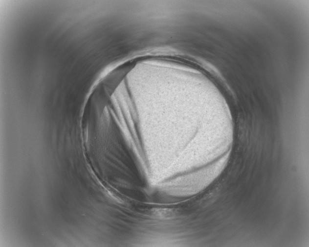 X0000065981176200603241931