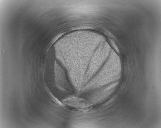 X0000065981177200603241931