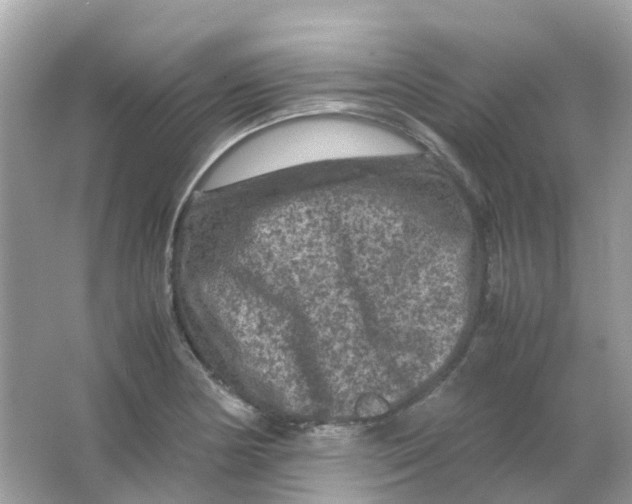 X0000065981178200603241931