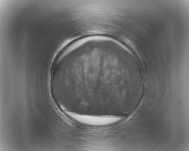 X0000065981179200603241931