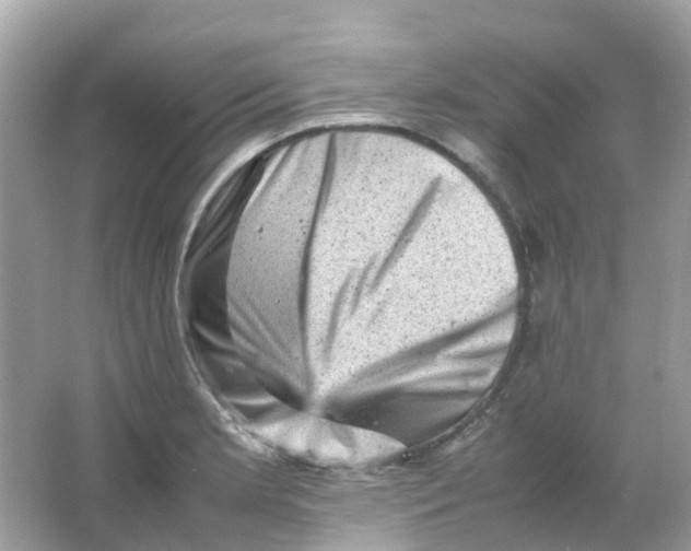 X0000065981181200603241931