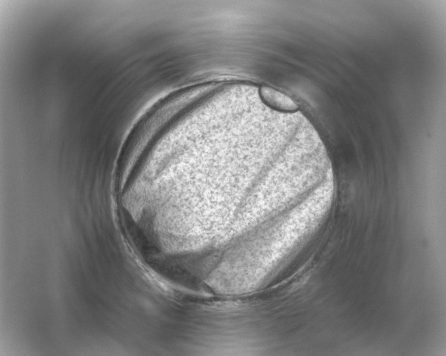 X0000065981182200603241931