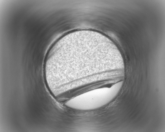 X0000065981183200603241931