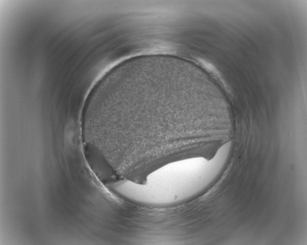 X0000065981184200603241931