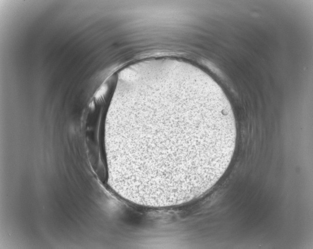 X0000065981185200603241931