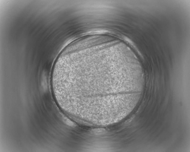 X0000065981186200603241931