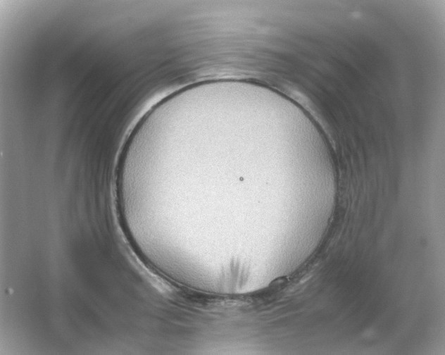 X0000065981187200603241931