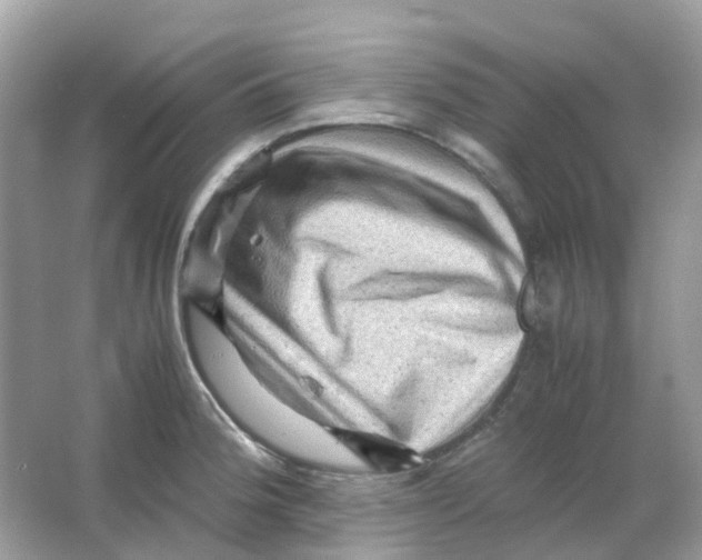 X0000065981188200603241931