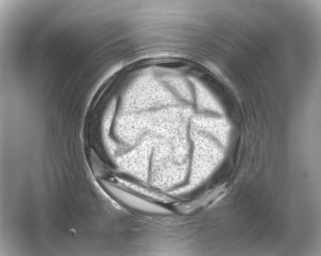 X0000065981189200603241931