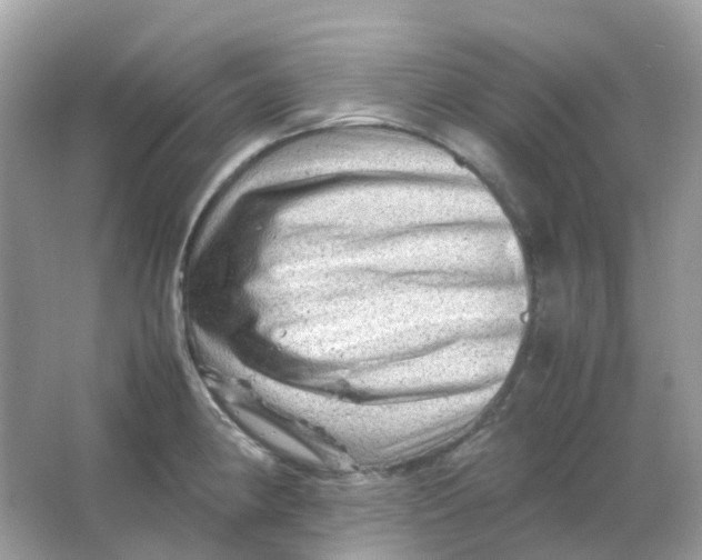 X0000065981190200603241931