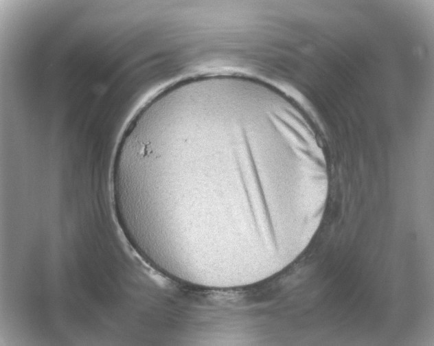 X0000065981191200603241931