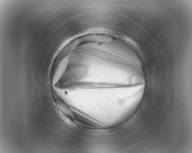 X0000065981192200603241931