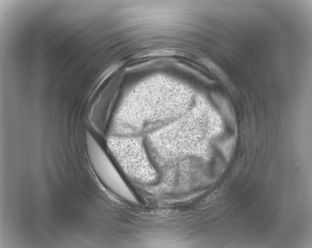 X0000065981193200603241931