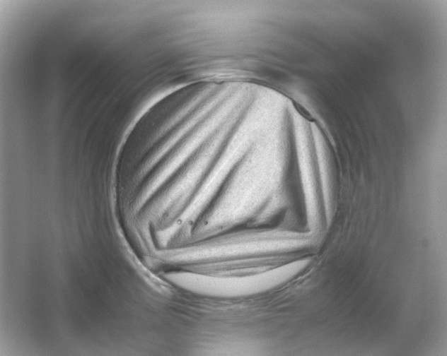 X0000065981195200603241931