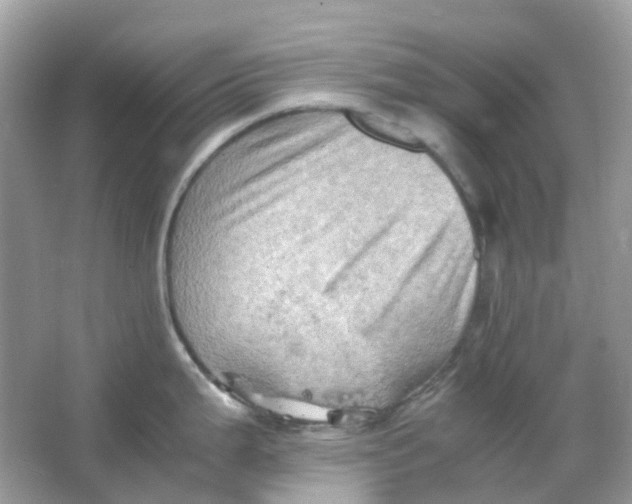 X0000065981199200603241931