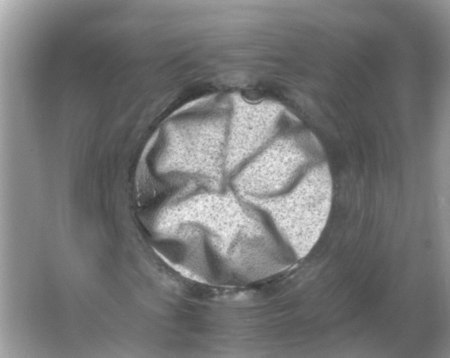 X0000065981201200603241930