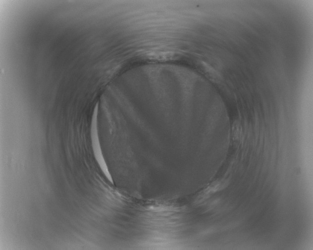 X0000065981202200603241930