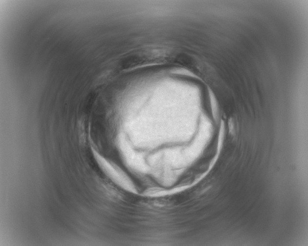 X0000065981203200603241930