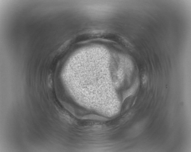 X0000065981204200603241930