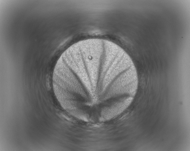 X0000065981205200603241930