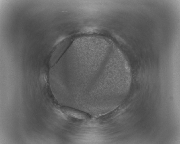 X0000065981206200603241930