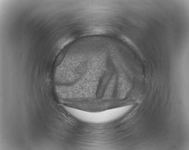 X0000065981210200603241930