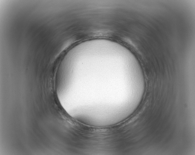 X0000065981211200603241930