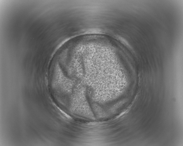 X0000065981212200603241930