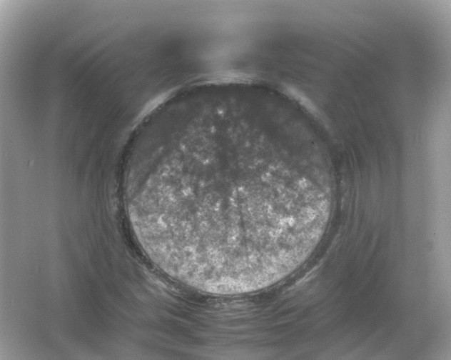 X0000065981213200603241930