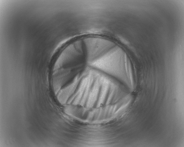 X0000065981214200603241930