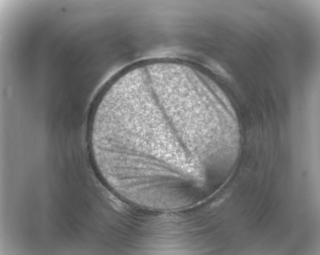 X0000065981216200603241931