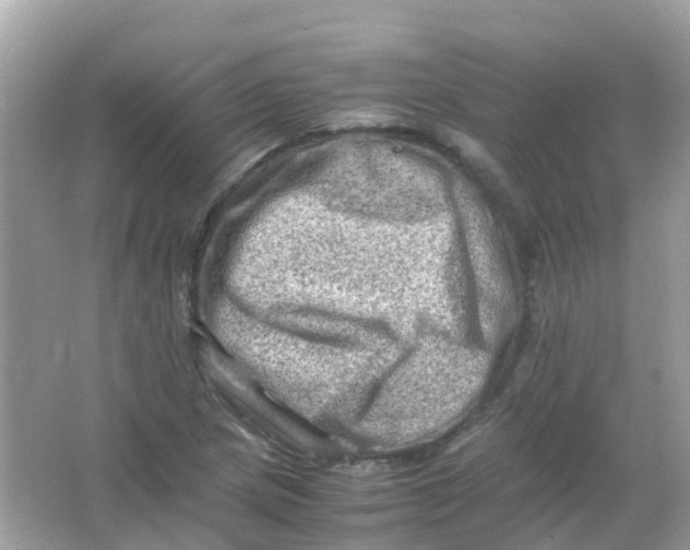 X0000065981217200603241931