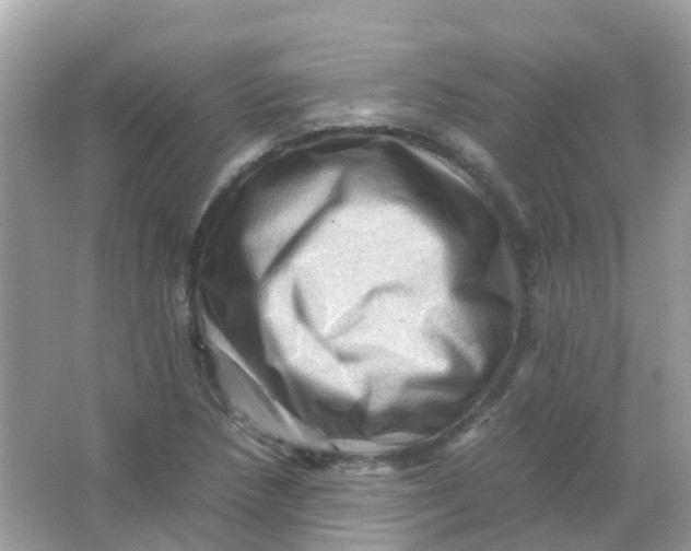 X0000065981218200603241931