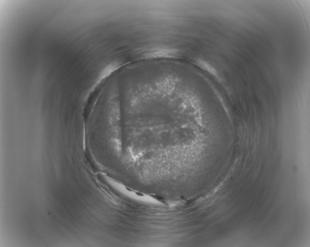 X0000065981219200603241931