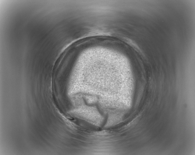 X0000065981220200603241931