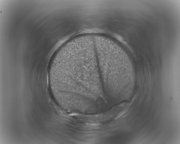 X0000065981221200603241931