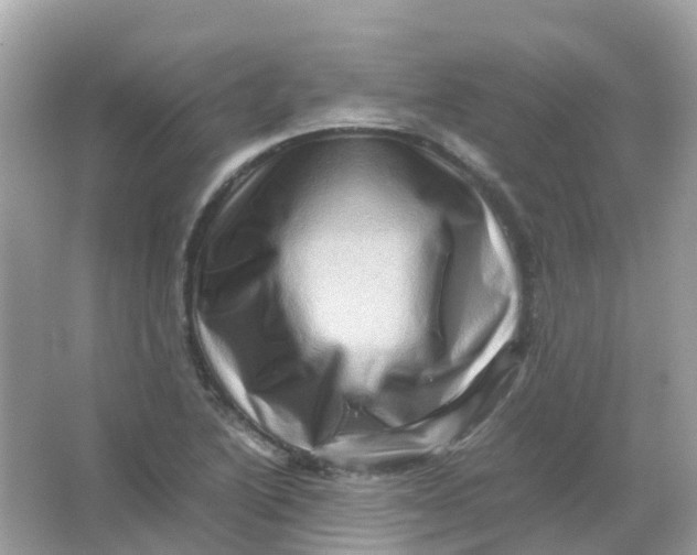 X0000065981222200603241931