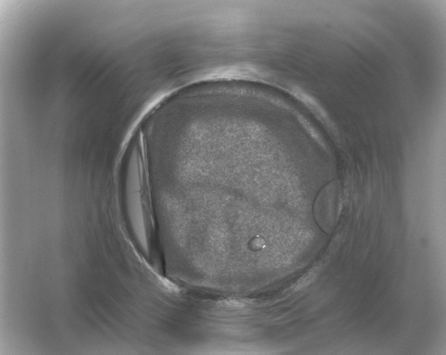 X0000065981224200603241931