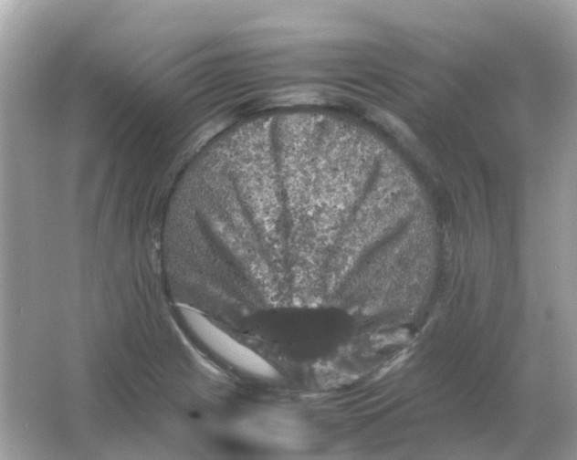 X0000065981225200603241931